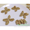 top Grade Bulk Packing Chinese Walnut Kernels Quarters